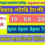 nagaland state lottery target number